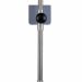 Vertical metal stand with two black spherical clamps and a flat base